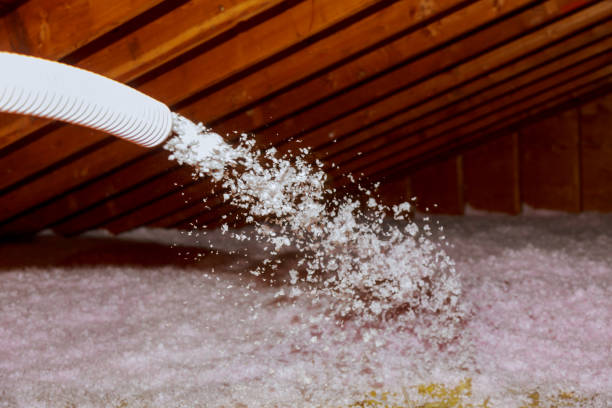 Best Insulation Maintenance and Repair in Port Sulphur, LA
