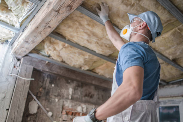  Port Sulphur, LA Insulation Contractor Pros