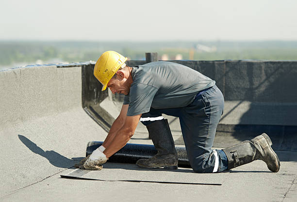 Best Insulation Maintenance and Repair in Port Sulphur, LA